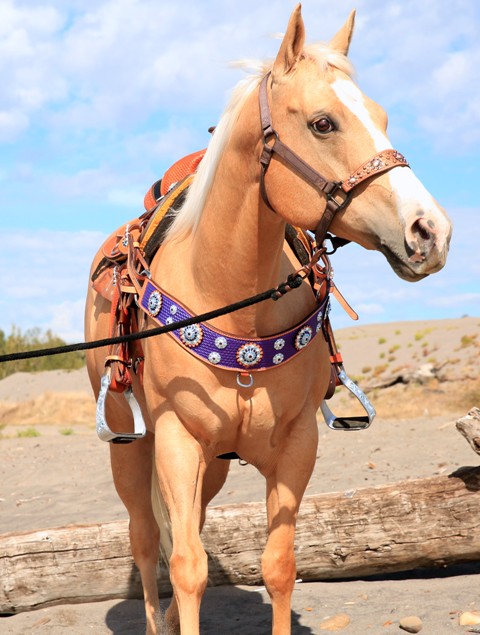 custom tripping collar